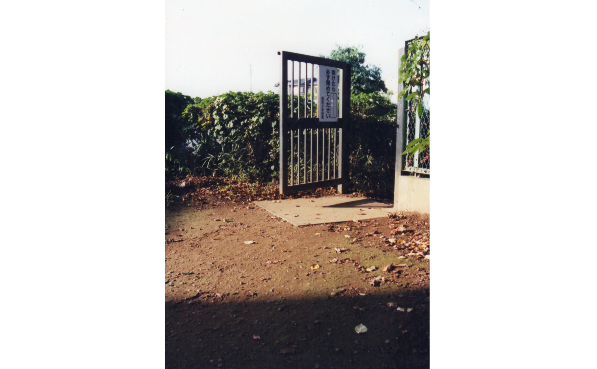 自主制作写真冊子（小学校）