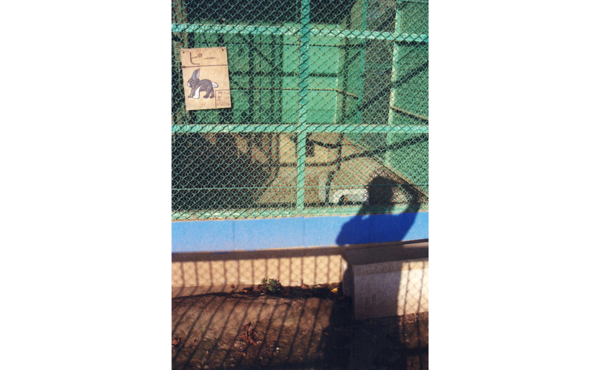 自主制作写真冊子（小学校）